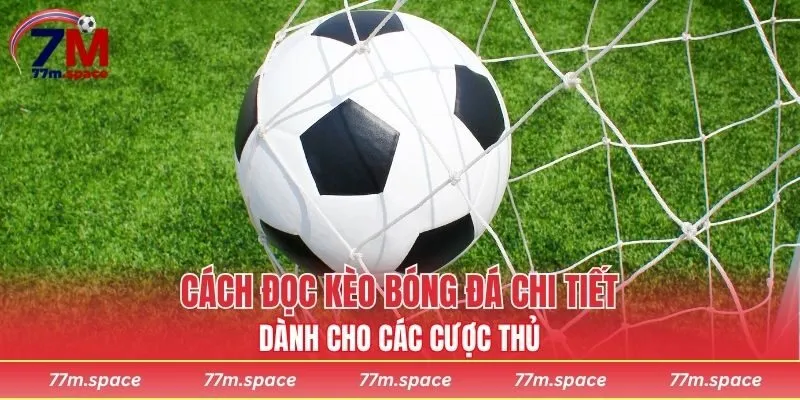 cách đọc kèo bóng đá